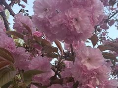 -香融府·烤鸭·家常菜(马家堡路店)