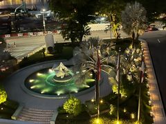 -新加坡文华东方酒店