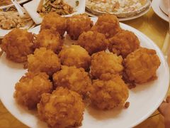 -丁老爷子苏香圆