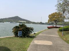 -上海月湖雕塑公园