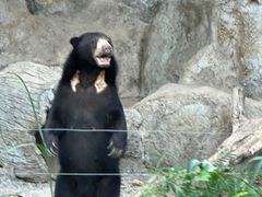 -清迈夜间动物园