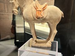 -隋唐大运河文化博物馆