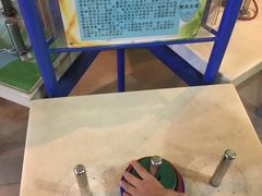 -陕西科学技术馆