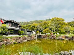 -灵岩山风景区