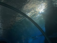 -北戴河圣蓝海洋公园