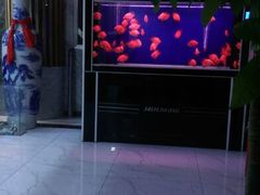 android_upload_pic-绿岛汤泉韩式休闲会所