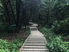 -广州市帽峰山景区