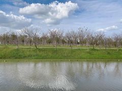 -上海海湾国家森林公园