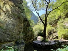 -双龙峡