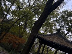 -杭州黄龙洞