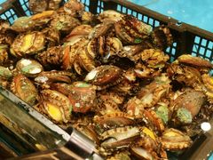 活鲍鱼-阳光岛·海鲜盛宴(银泰中心in99店)