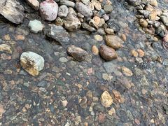 -白河湾生态旅游一条川