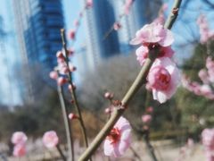 -渭滨公园
