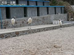 -海驴岛(荣成市)
