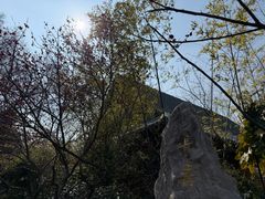 -水绘园