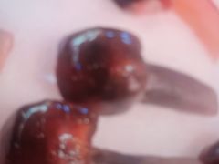 -芸山季·云南山珍菌火锅(人民广场来福士店)