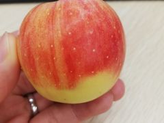 -百果园PAGODA(应元路店)