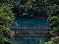 -鼎湖山风景区