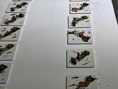 -成都许燎源现代设计艺术博物馆