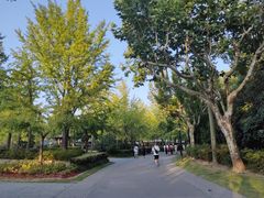 -黄兴公园