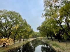 -古塔公园