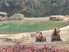 -杭州野生动物世界