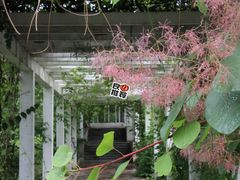 -国家植物园南园