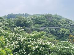 -福道