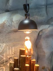 -Zoolung Zoolung动物主题公园(海信广场店)