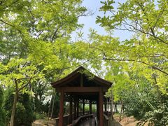 -塘沽森林公园