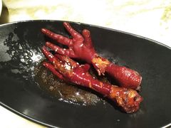 -肥猫(义乌万达店)