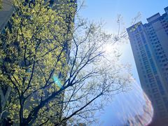 -武汉紫薇都市田园