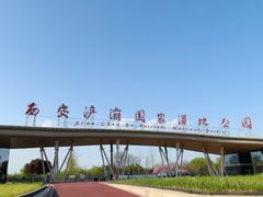 -西安浐灞国家湿地公园
