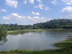 -福建鲤鱼洲酒店