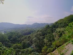 -黄埔油麻山森林公园
