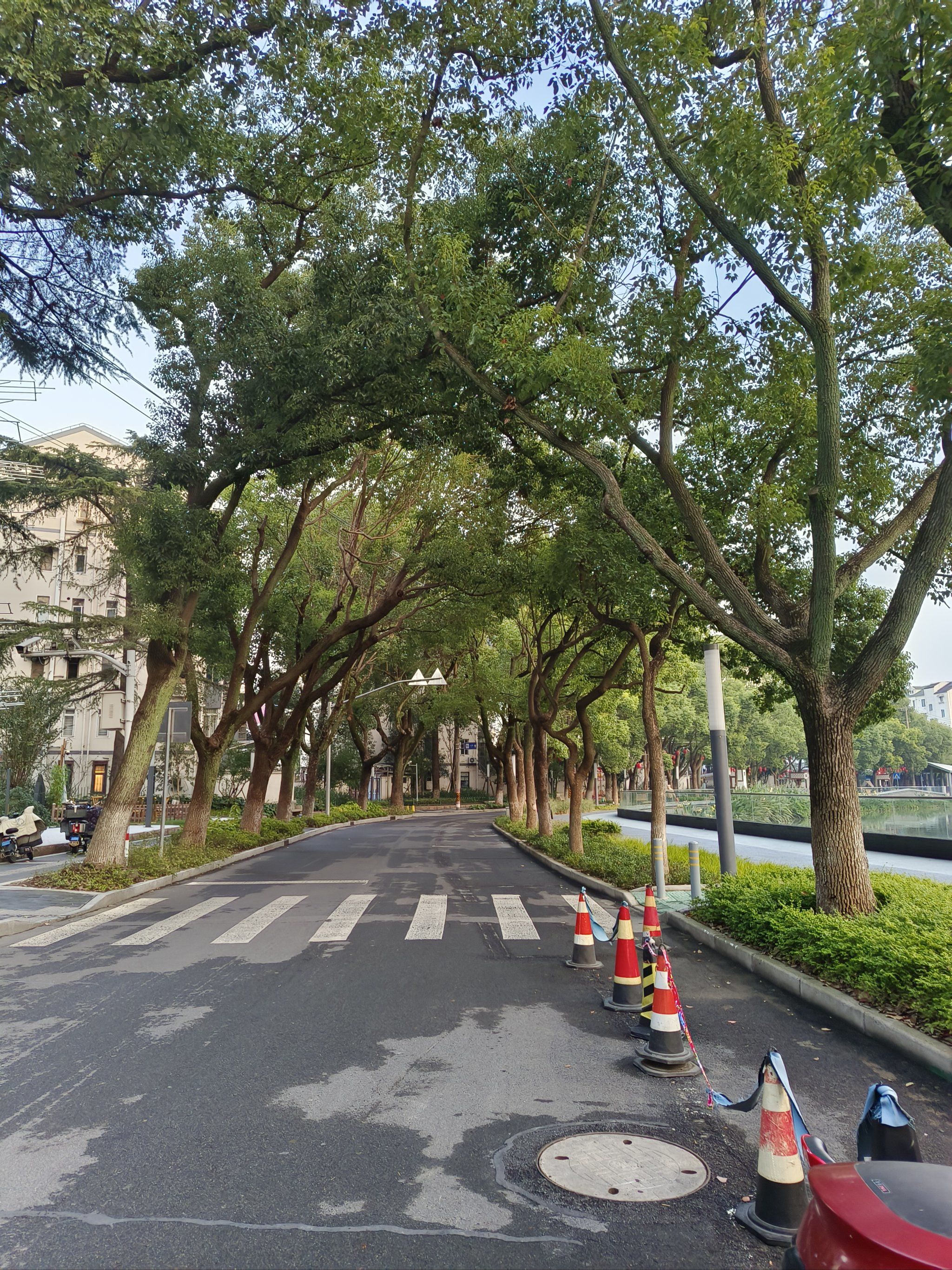 摄影分享|这些小马路太好拍了