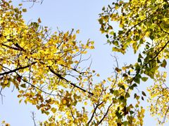 -西安市长乐公园