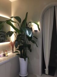 点击看大图 -悦色嘉丽科技美肤健康管理