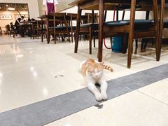 -胡须哥网红竹筒菜