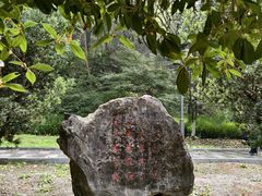 -幕燕滨江·长江观音景区