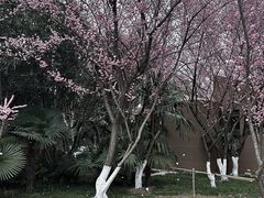 -徽园
