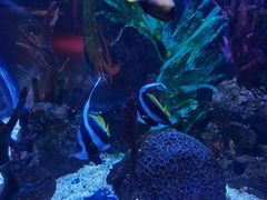 -沈阳海洋探索中心