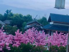 -郑州银基黄帝宫御温泉