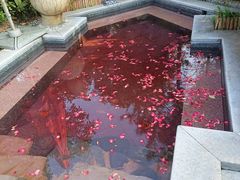 -太白山御龙湾温泉