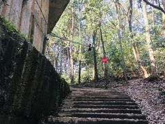 -西湖风景区十里琅珰-五云山