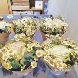 成都探店no.4🍀鹿岛生活馆银泰in99店