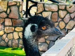 -金庭庄园酒店-停车场