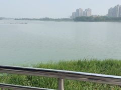 -金银湖国家城市湿地公园
