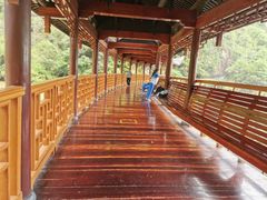 -天台山琼台仙谷景区
