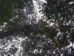-青城山